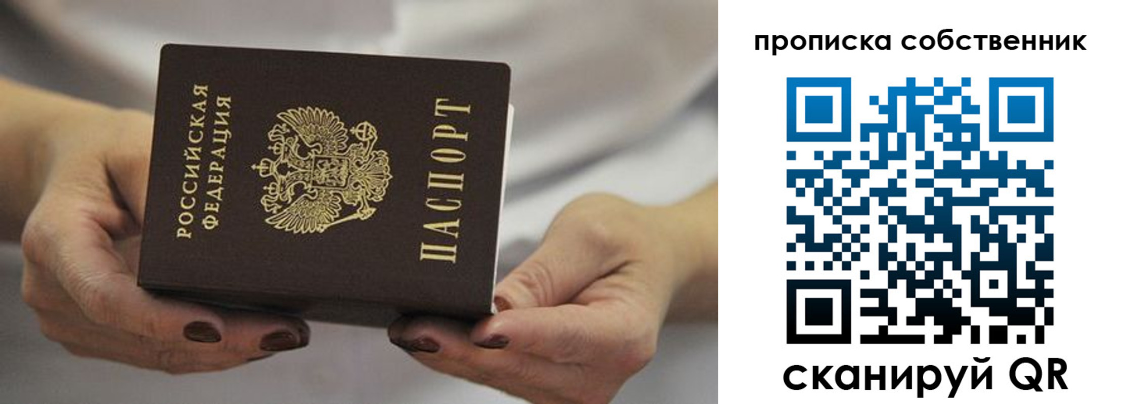 прописка поиск в Краснознаменске